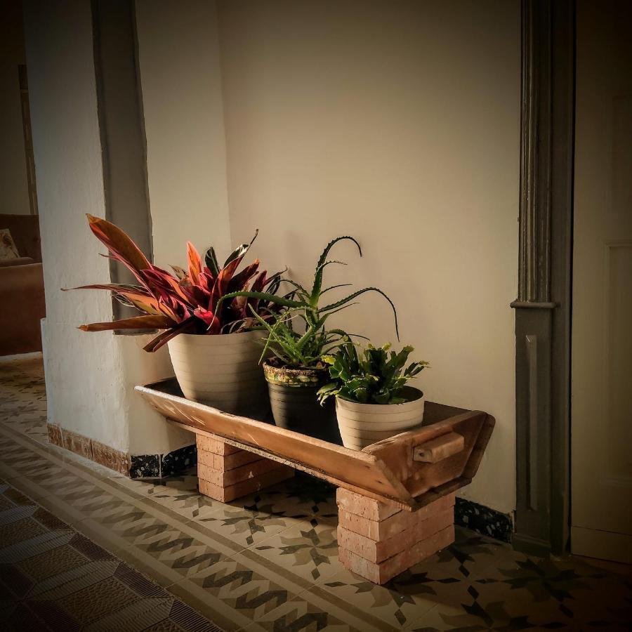 Casa Rural Maribel Santa Amalia Buitenkant foto