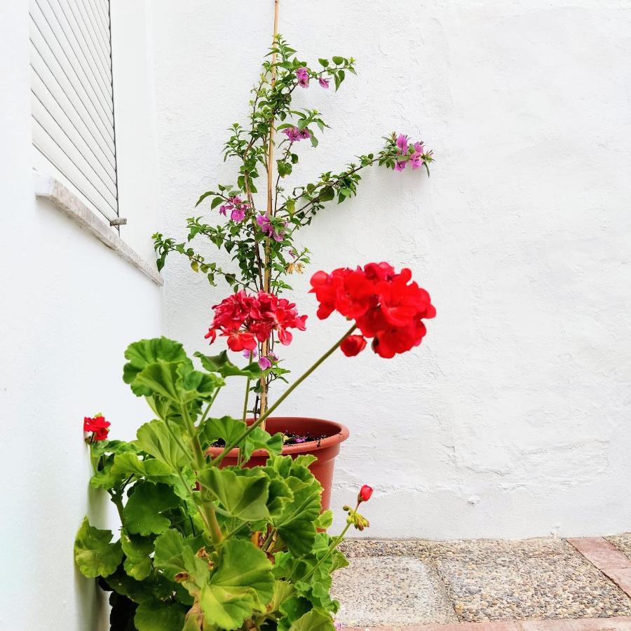 Casa Rural Maribel Santa Amalia Buitenkant foto